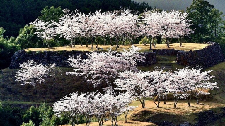 北山一揆（秀長の熊野攻め）