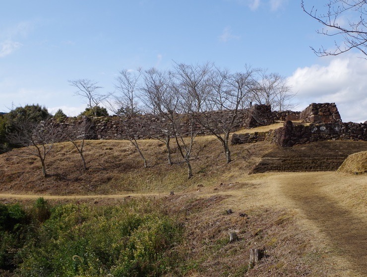 赤木城跡の全景