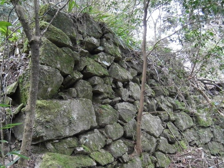 宝満城跡 山中に残る石垣