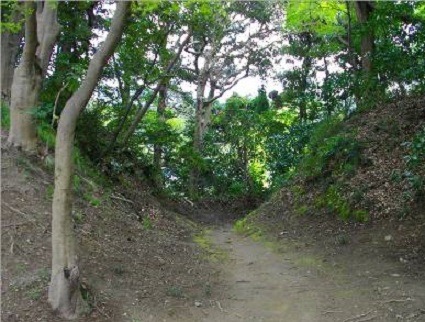 韮山城跡の土塁にはさまれた道