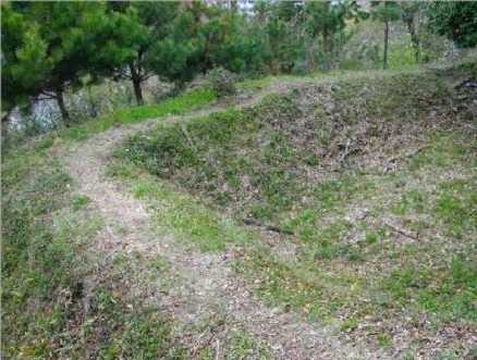 韮山城跡の尾根道