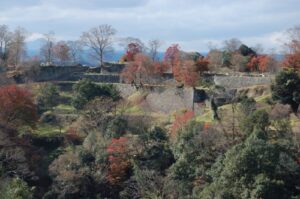 台地の上に石垣が幾重にも連なる岡城跡（運営者撮影）